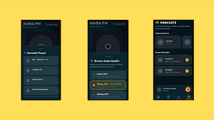 NAGA FM Screenshot 0