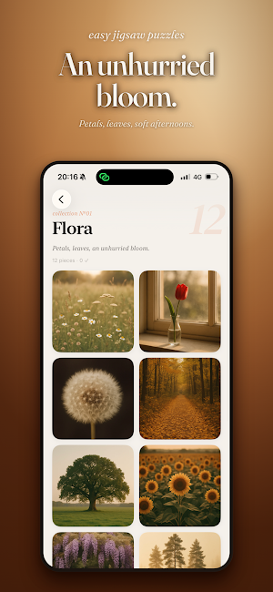 Easy Jigsaw Puzzles Screenshot 3