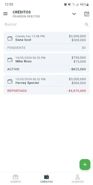 CrediPay Screenshot 2