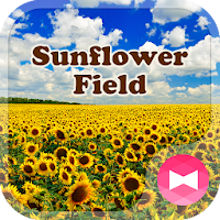 Beautiful Wallpaper Sunflower Field Theme