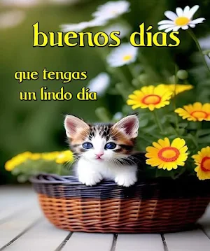 Buenos dias,tardes y noches Screenshot 2