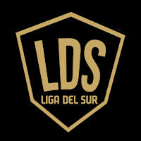 Liga del Sur