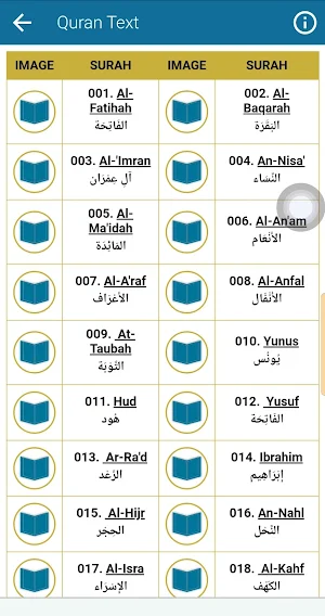 Noreen Muhammad Full Mp3 Quran Screenshot 3