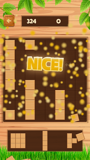 Daily Wood Block Puzzle Screenshot 2