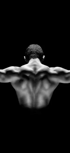 Home workout all muscles Screenshot 2