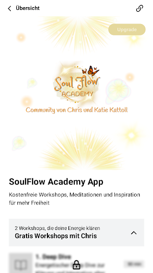 SoulFlow Academy Screenshot 1