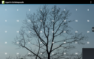Sliding Tiles Puzzle Screenshot 2