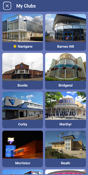 Castle Bingo Screenshot 1