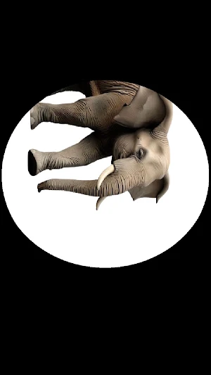 Pe PeAnimales Screenshot 2