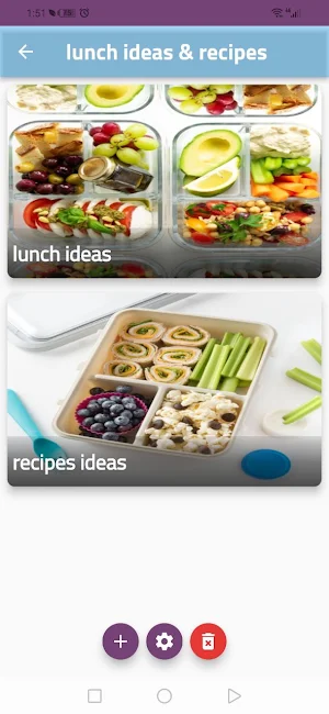 lunch ideas & recipes Screenshot 3