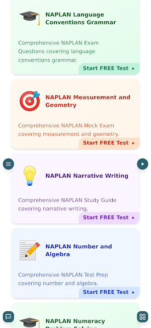 NAPLAN Practice Test Screenshot 2
