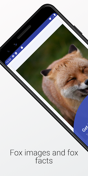 Fox Images and Facts Screenshot 0
