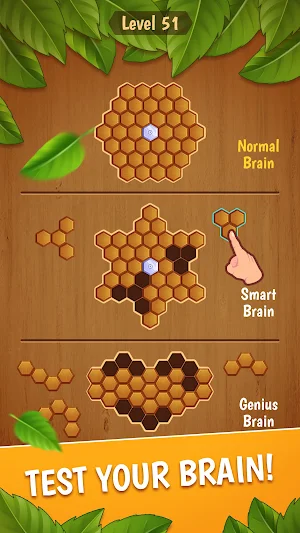 Block Hexa Classic Screenshot 2