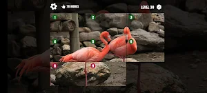 Picture Puzzle LF Screenshot 0