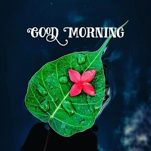 Good Morning Wishes & Quotes Screenshot 3