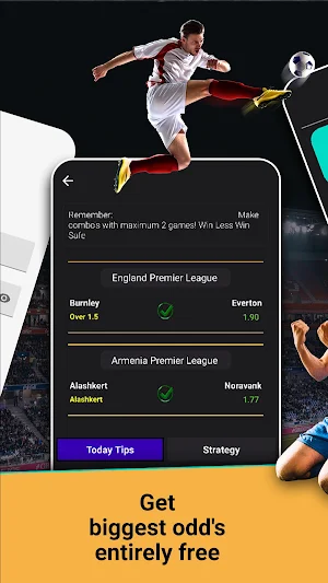 Bet-Team Tips Screenshot 1