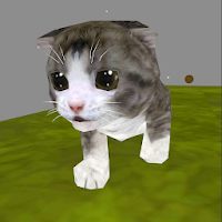 CatRunner