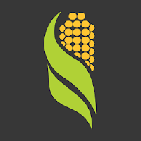 Al-Corn Clean Fuel