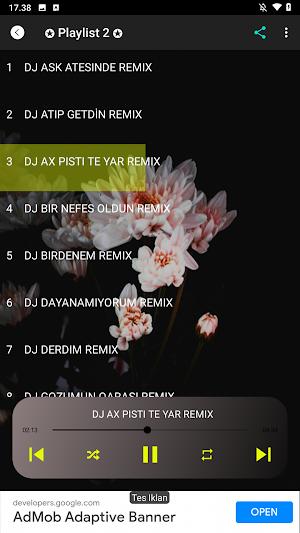 Azeri DJ Remix Mp3 Screenshot 2
