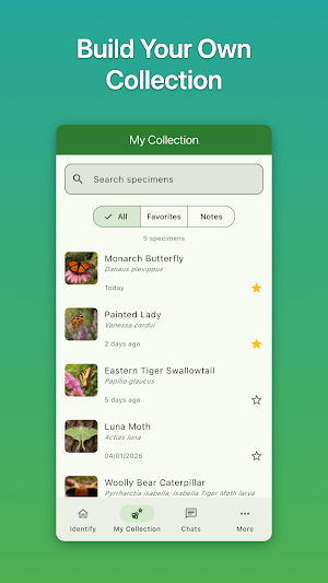 Caterpillar & Butterfly ID Screenshot 1