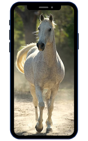 Horse Wallpapers Screenshot 2
