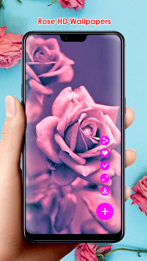 Rose HD Wallpapers Screenshot 0