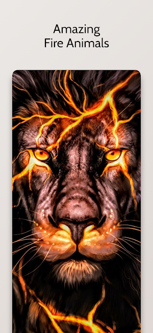 Awesome Fire Wallpapers Screenshot 0