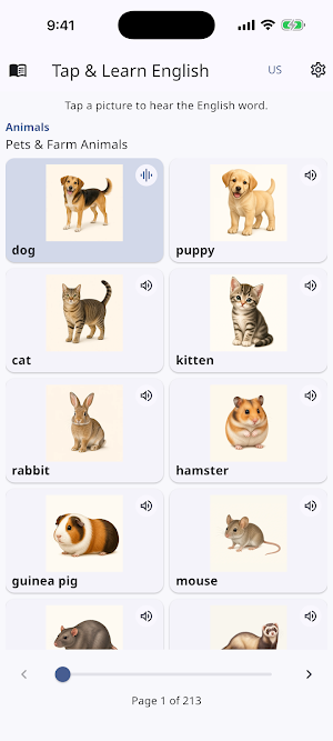 Tap & Learn English Screenshot 1