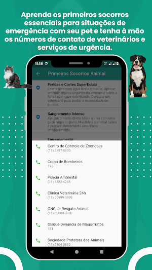 Cuidados Sáúde Animal Screenshot 3