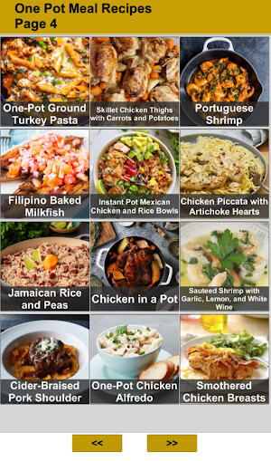One Pot Meal Recipes Screenshot 3