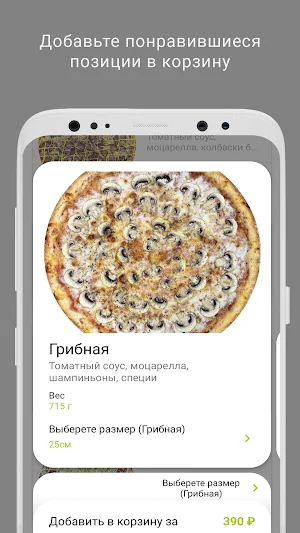Falcon food Screenshot 1