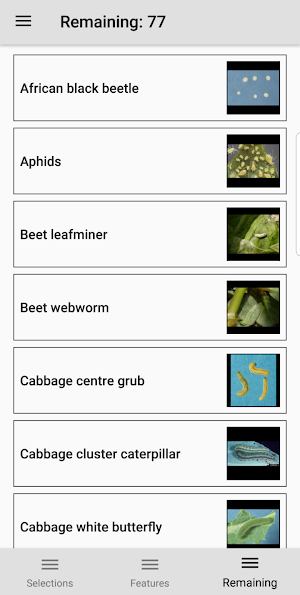 Bunching Vegetables Screenshot 3