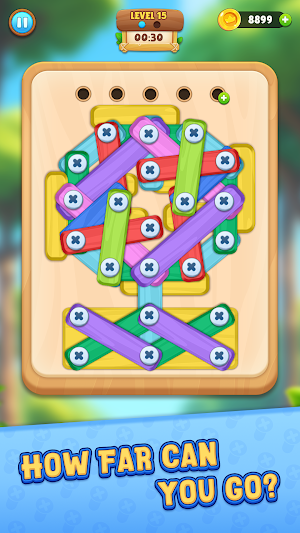 Wood Nuts And Bolts Puzzle Screenshot 3