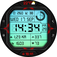 ELECTRONIC CTS56 Watch face