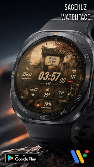 A169 Old Gate Watchface Screenshot 0