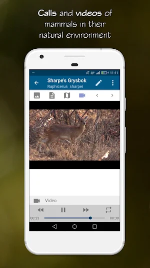 Stuarts' Southern African Mammals 5th Ed Screenshot 3