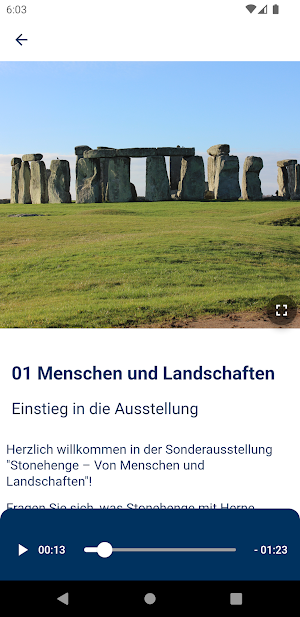 LWL-Museum für Archäologie Screenshot 2