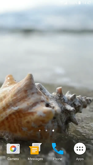 Sea Shell 4K Live Wallpaper Screenshot 3