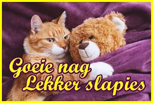 Goeie nag Lekker slapies Screenshot 2