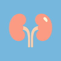 NefroCare: Kidney Diet Tracker