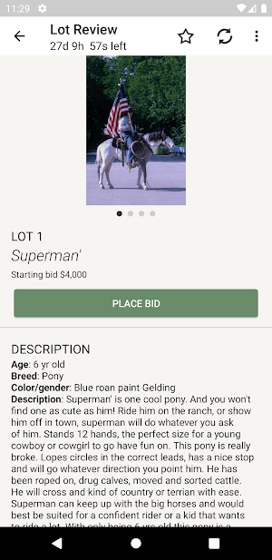 RanchWorldBids Screenshot 2
