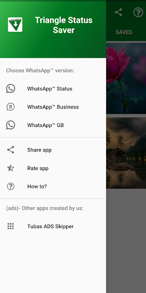 Triangle Status Saver Screenshot 1