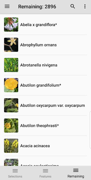 Plants of South Eastern New South Wales Screenshot 2