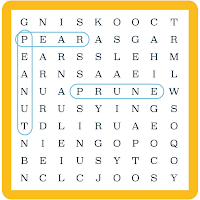 Word Search Pro