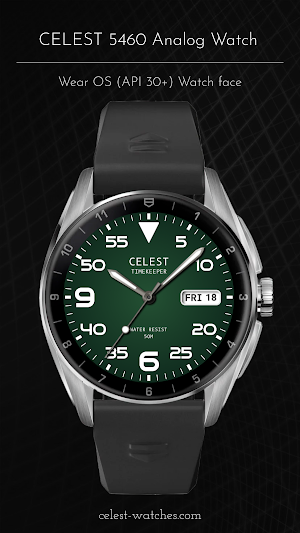 CELEST5460 Analog Watch Screenshot 0