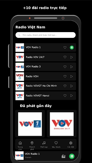 Radio Việt Nam Screenshot 0