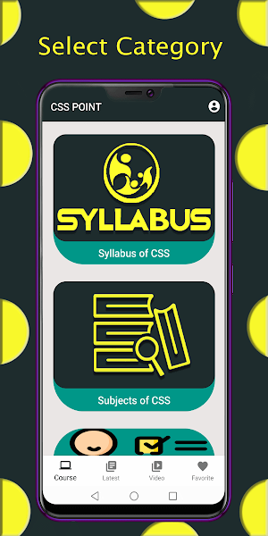 CSS Point Screenshot 1
