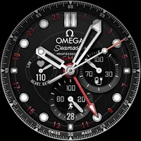 Seamaster GMT RAVE
