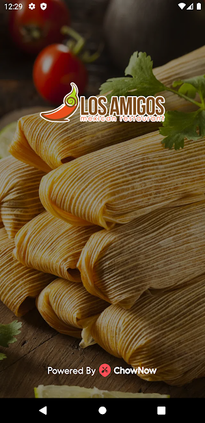 Los Amigos Mexican Restaurant Screenshot 0