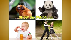 Point the picture! First words toddler kids games Screenshot 1